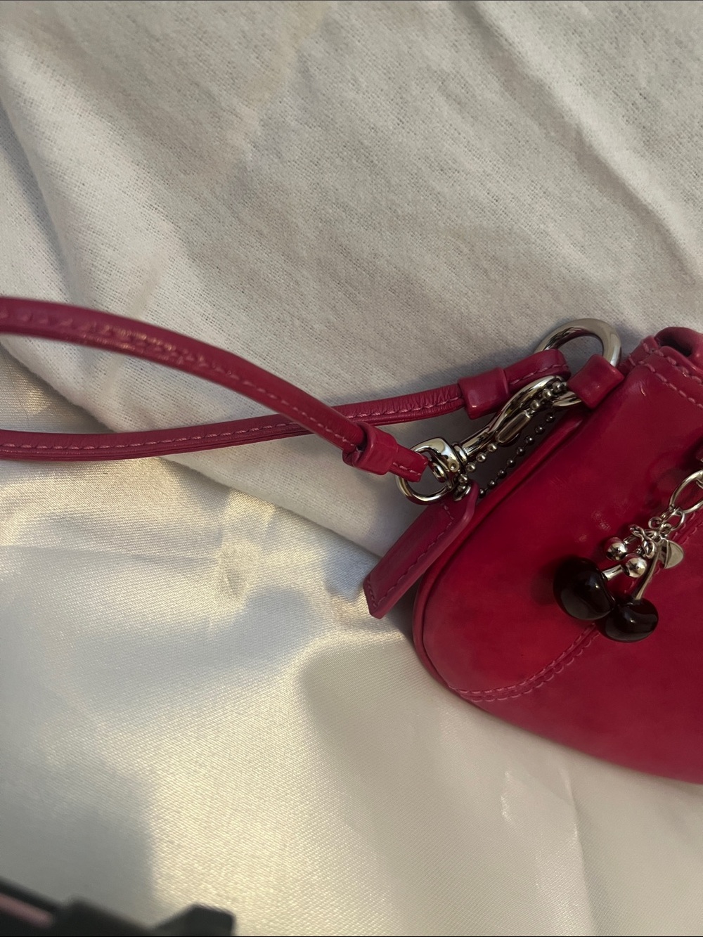 Coach Pouch - Picture 2 of 11